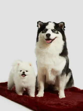 Alfombra para mascotas de piel sintética